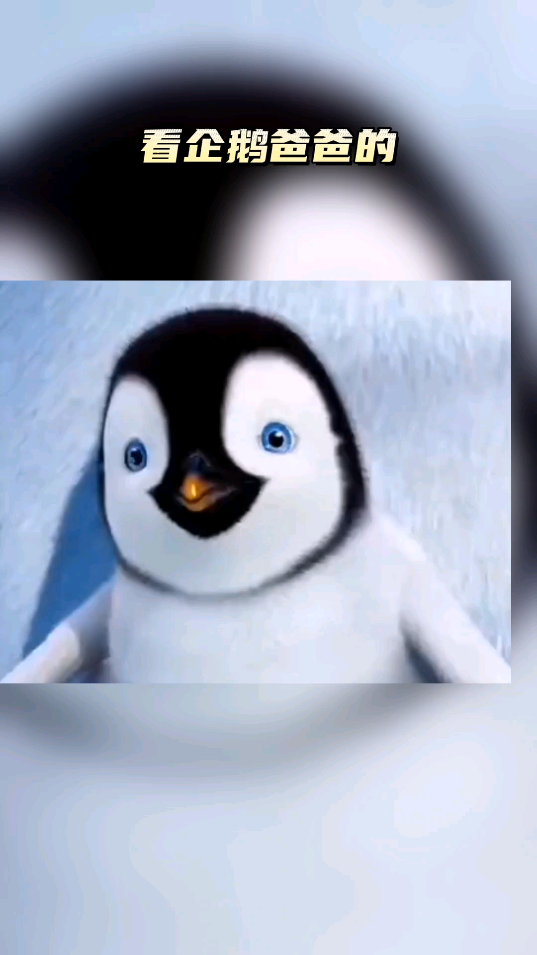 #迪士尼#看企鹅爸爸的撒狗粮