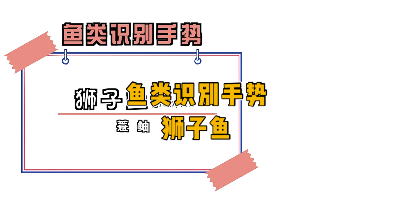 #潜水#鱼类识别手势,潜水时你可能遇到的最上镜的鱼之一,狮子鱼,一种既美丽又危险的鱼