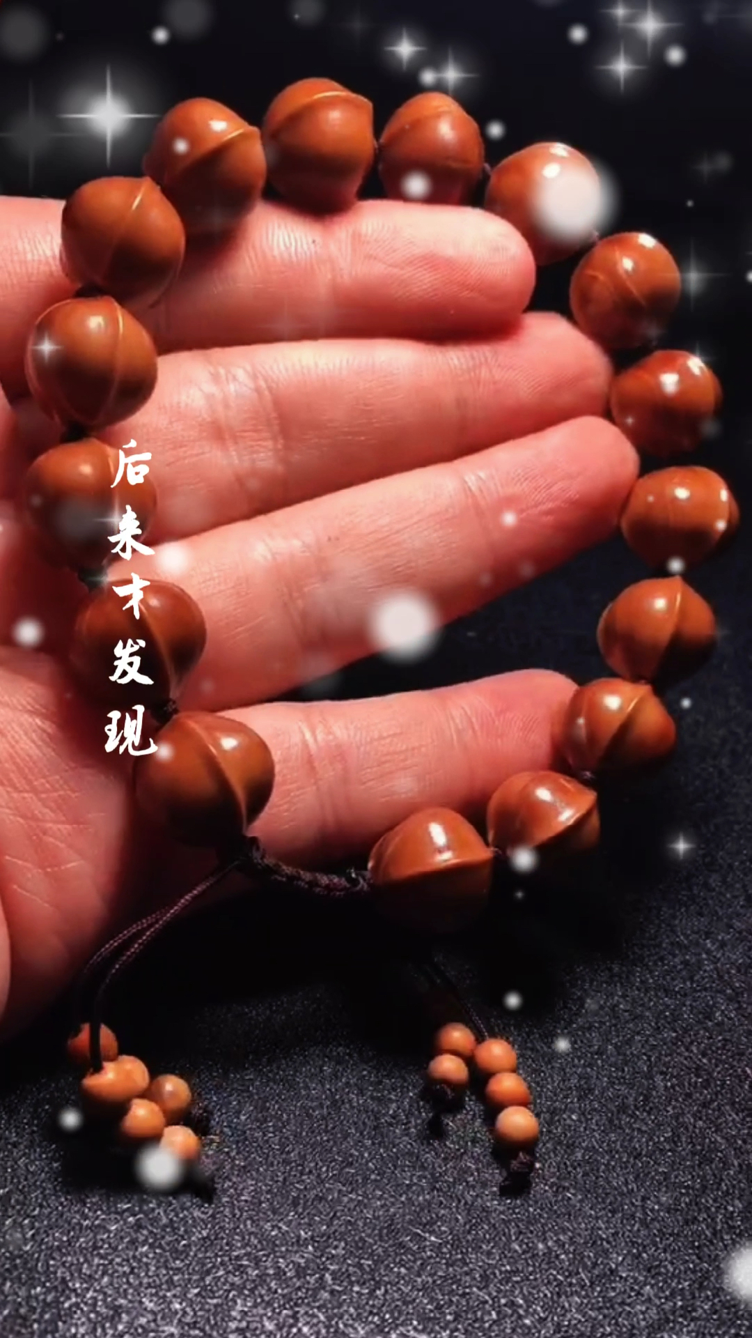 #我要上热门#全网最小铁核鲨鱼背