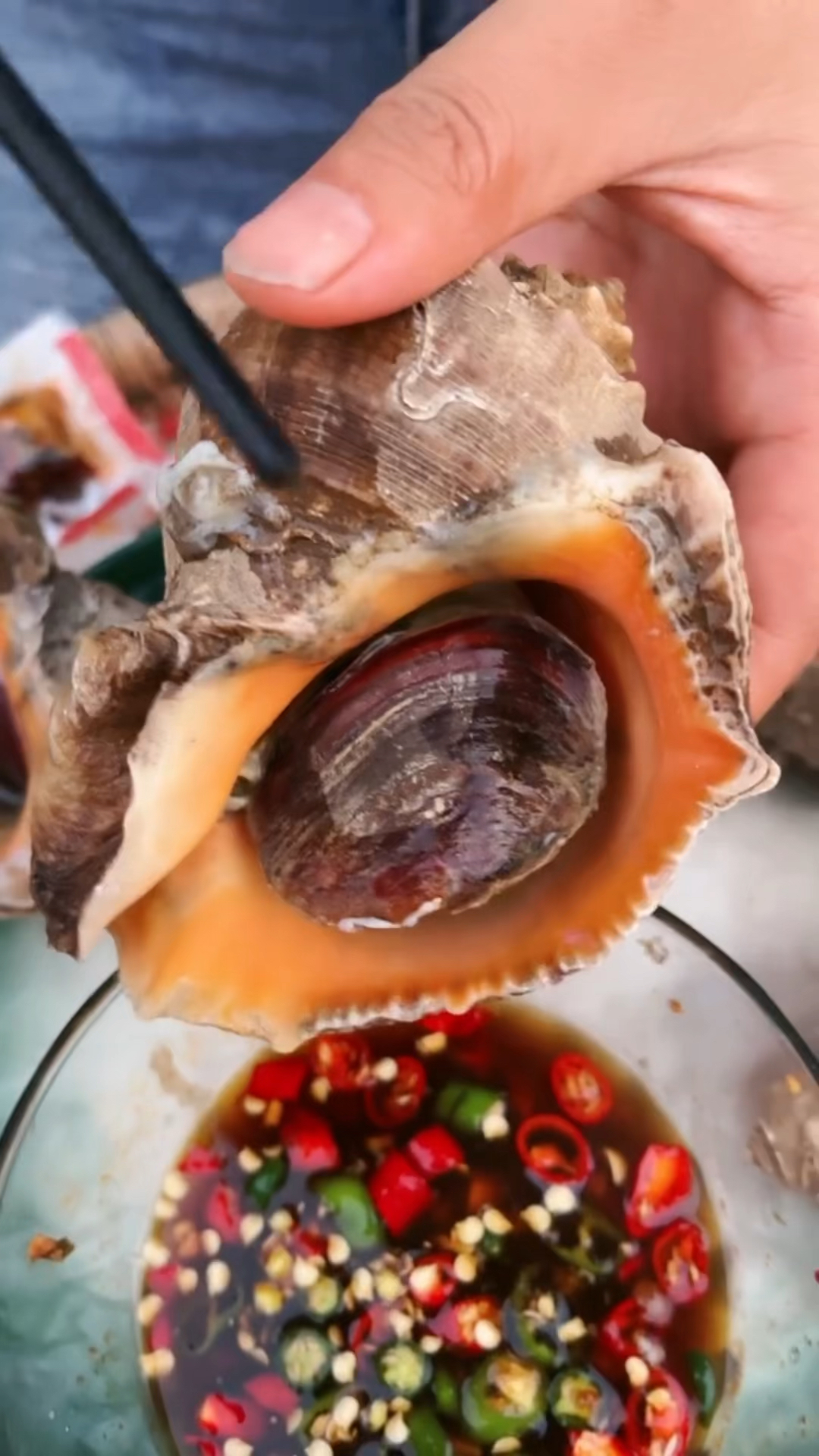 快手海鲜--葱油螺片的做法_【图解】快手海鲜--葱油螺片怎么做如何做好吃_快手海鲜--葱油螺片家常做法大全_阿罗al_豆果美食