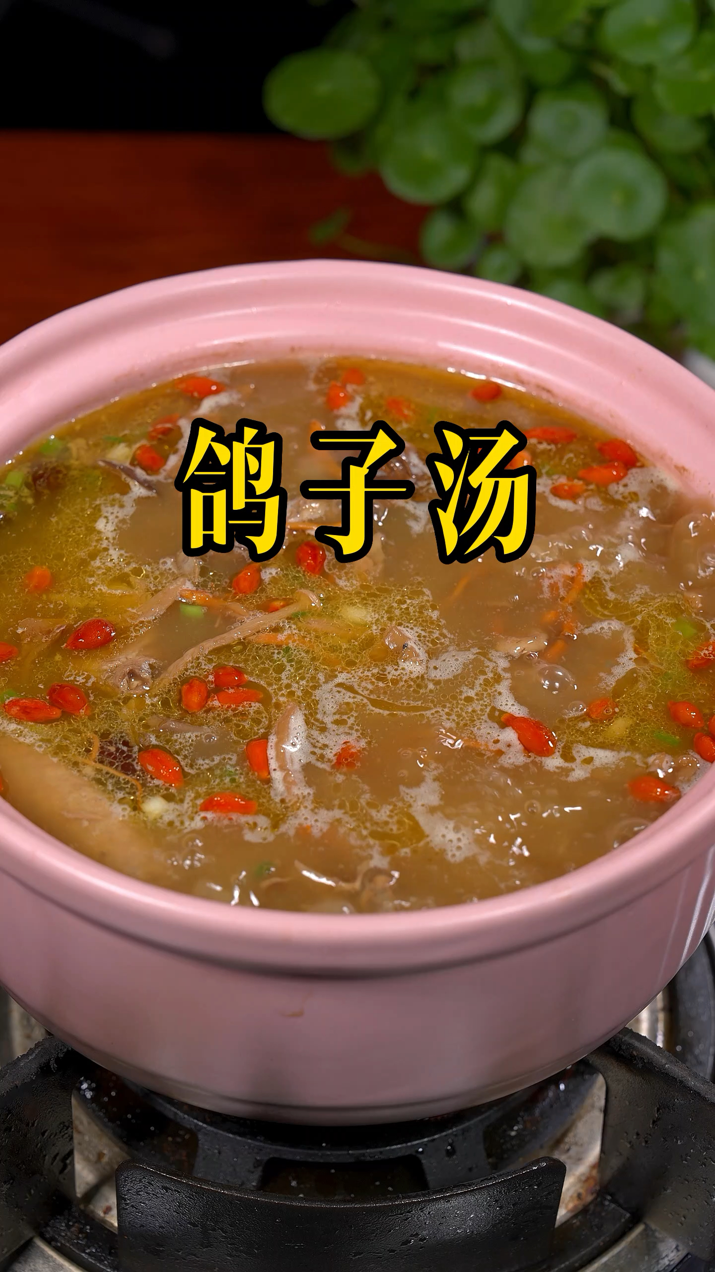 鸽子汤怎么炖不腥,而且汤鲜味美还好喝呢~#鸽子汤