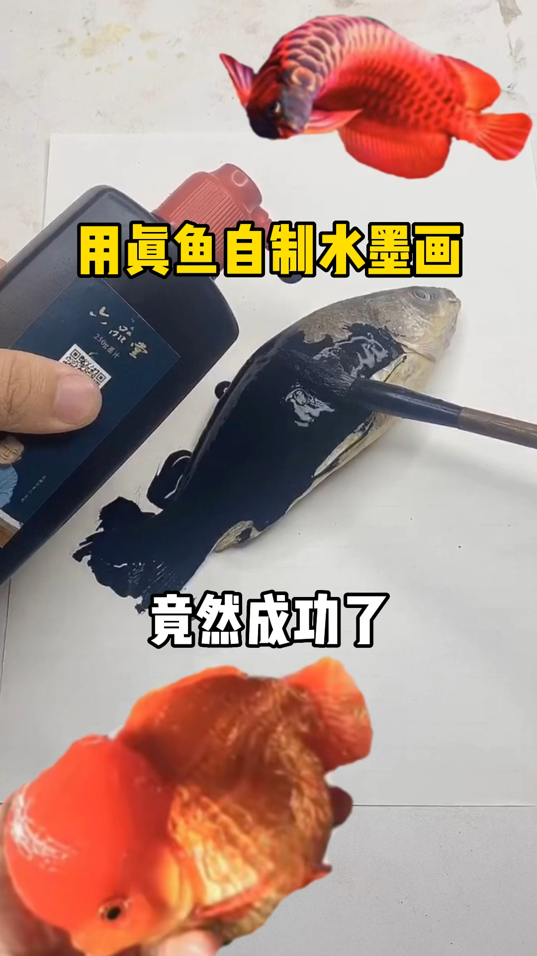 #破壳计划#用真鱼自制水墨画