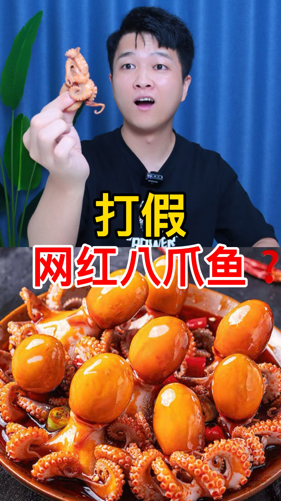 这网红八爪鱼宣传真夸张,满满一水缸