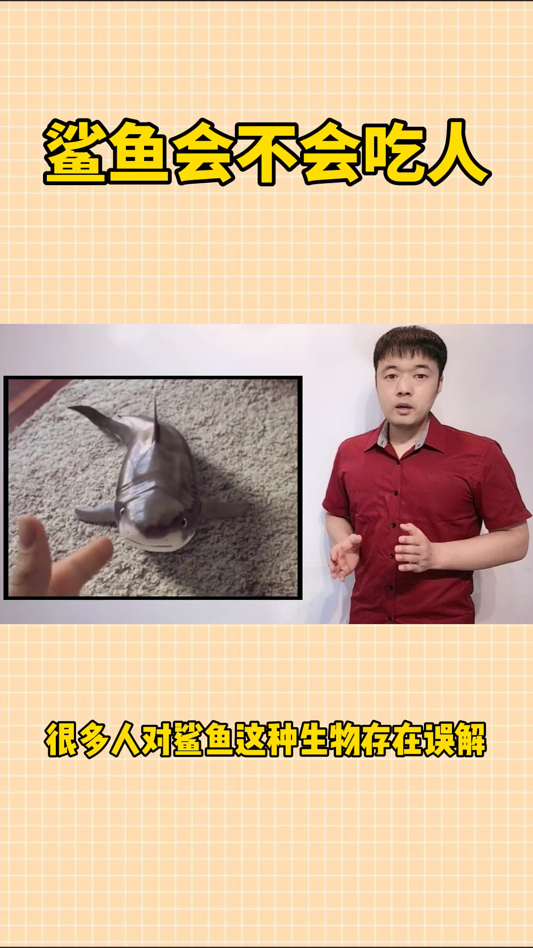 #搞笑#鲨鱼会吃人吗?