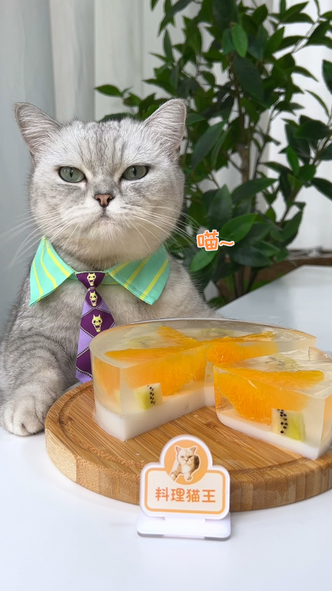 #自制美食#猫王：超级Q弹的双层水果果冻蛋糕，小朋友的最爱！