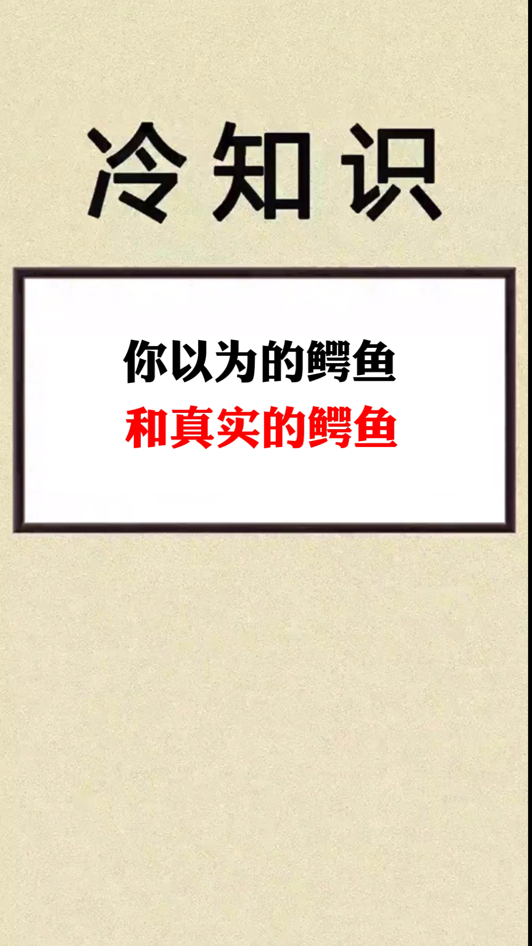 你眼中的鳄鱼是怎么样的?