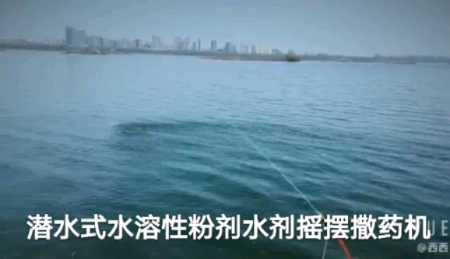 鱼塘虾塘打药机消毒器水剂一体式粉剂