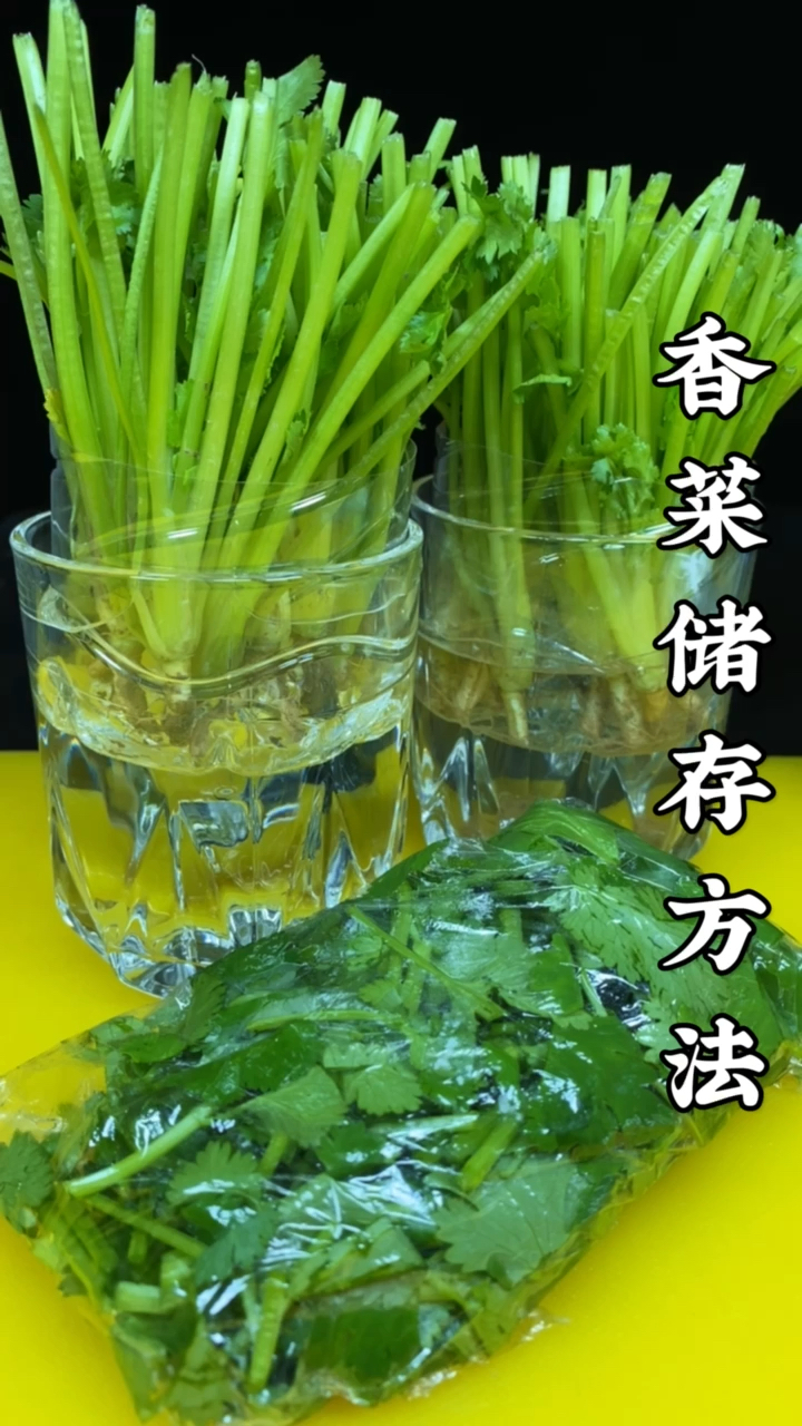 #美食#香菜这样储存，一冬天都不用买了，天天吃新鲜香菜！