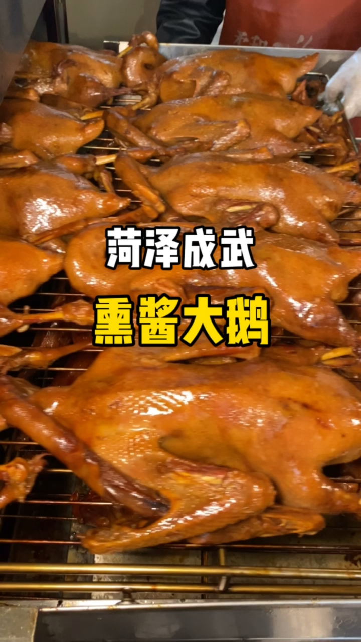 两天腿的大鹅你吃过吗