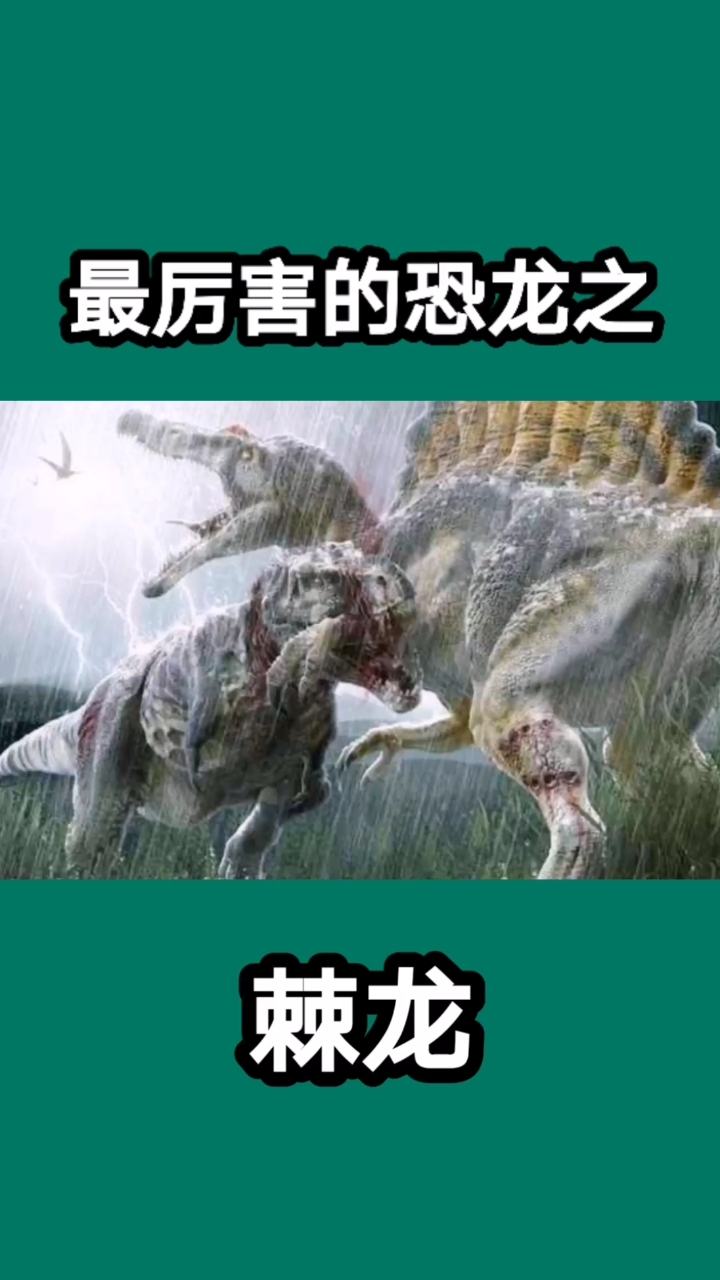 #恐龙#
