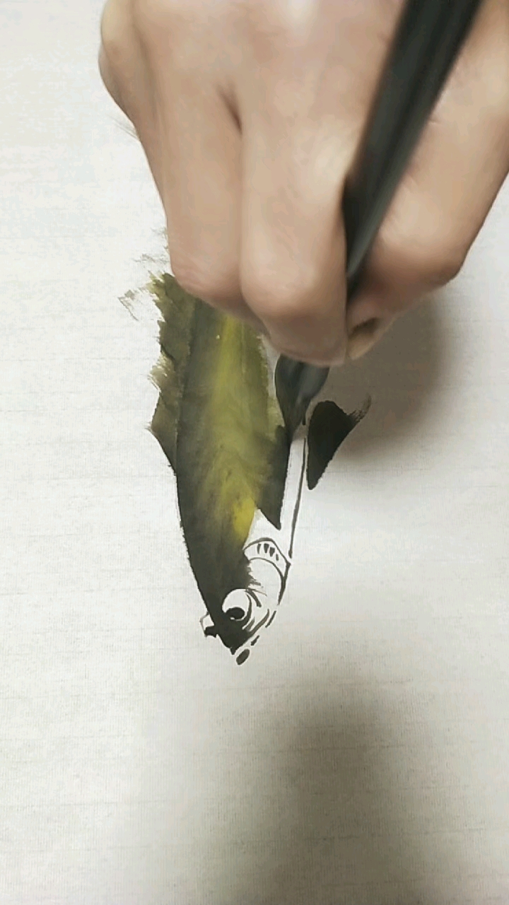 #我要上热门#画鱼重要的一步,线条的效果