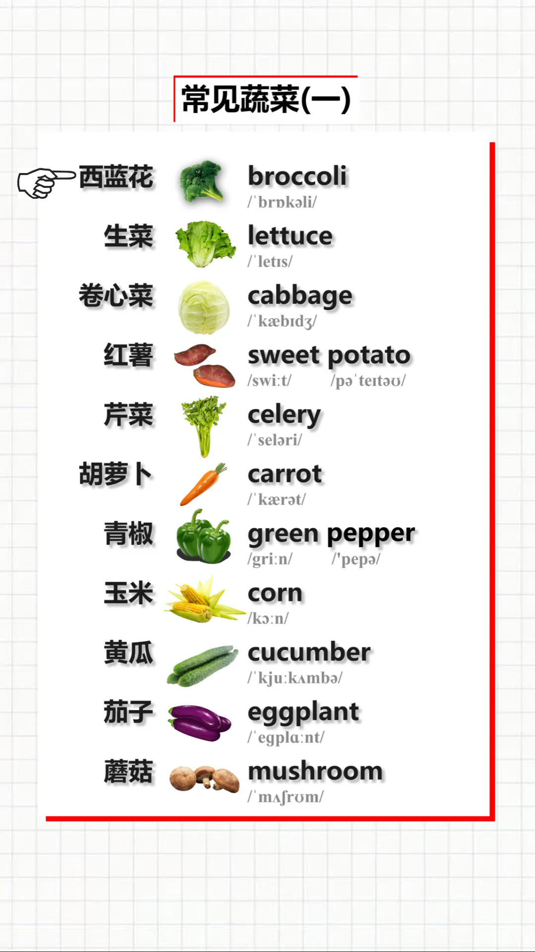 #英语单词#常见蔬菜英文1