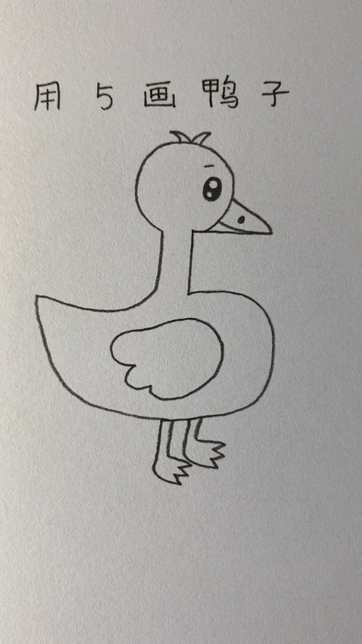 用数字5画一只可爱的鸭子