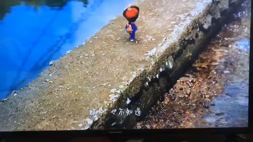 #可爱僵小鱼#僵小鱼