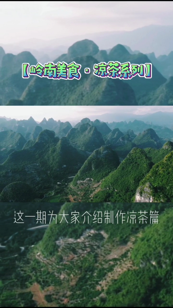 岭南美食·凉茶系列片开拍,第一集给大家介绍鸡骨草的喝法。