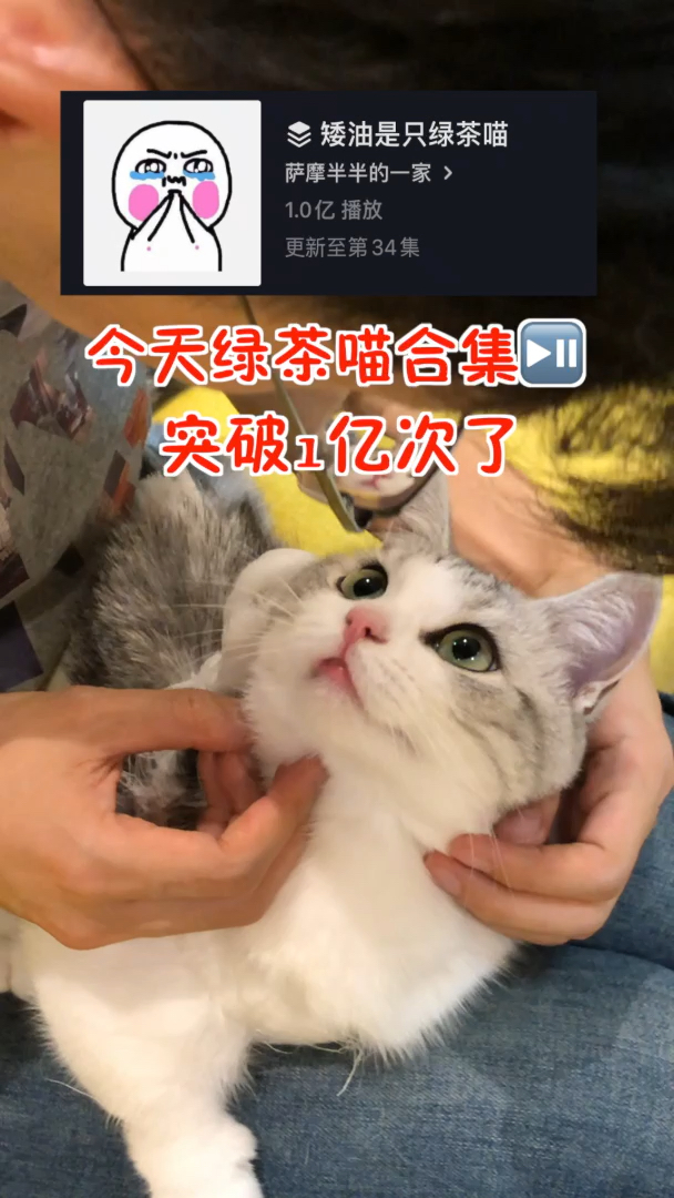 #我家萌宠成精了#