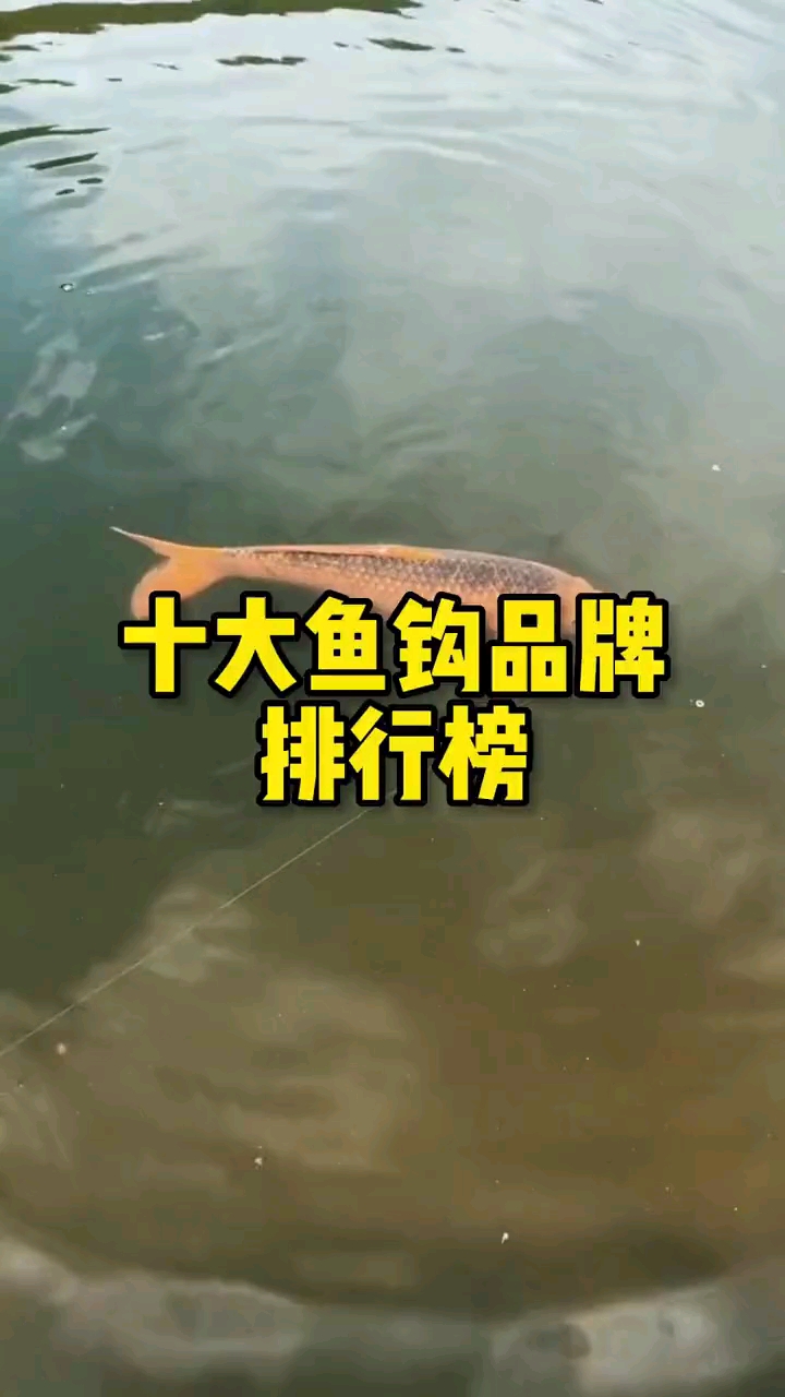 #钓鱼#钓鱼鱼钩排行榜,用过的钓友都知道