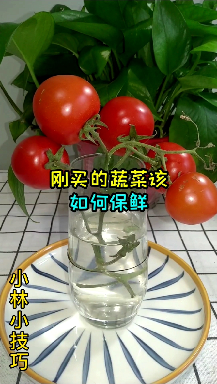 #生活小妙招#蔬菜放不了多久就不新鲜了,教你一招,好用还不花钱!