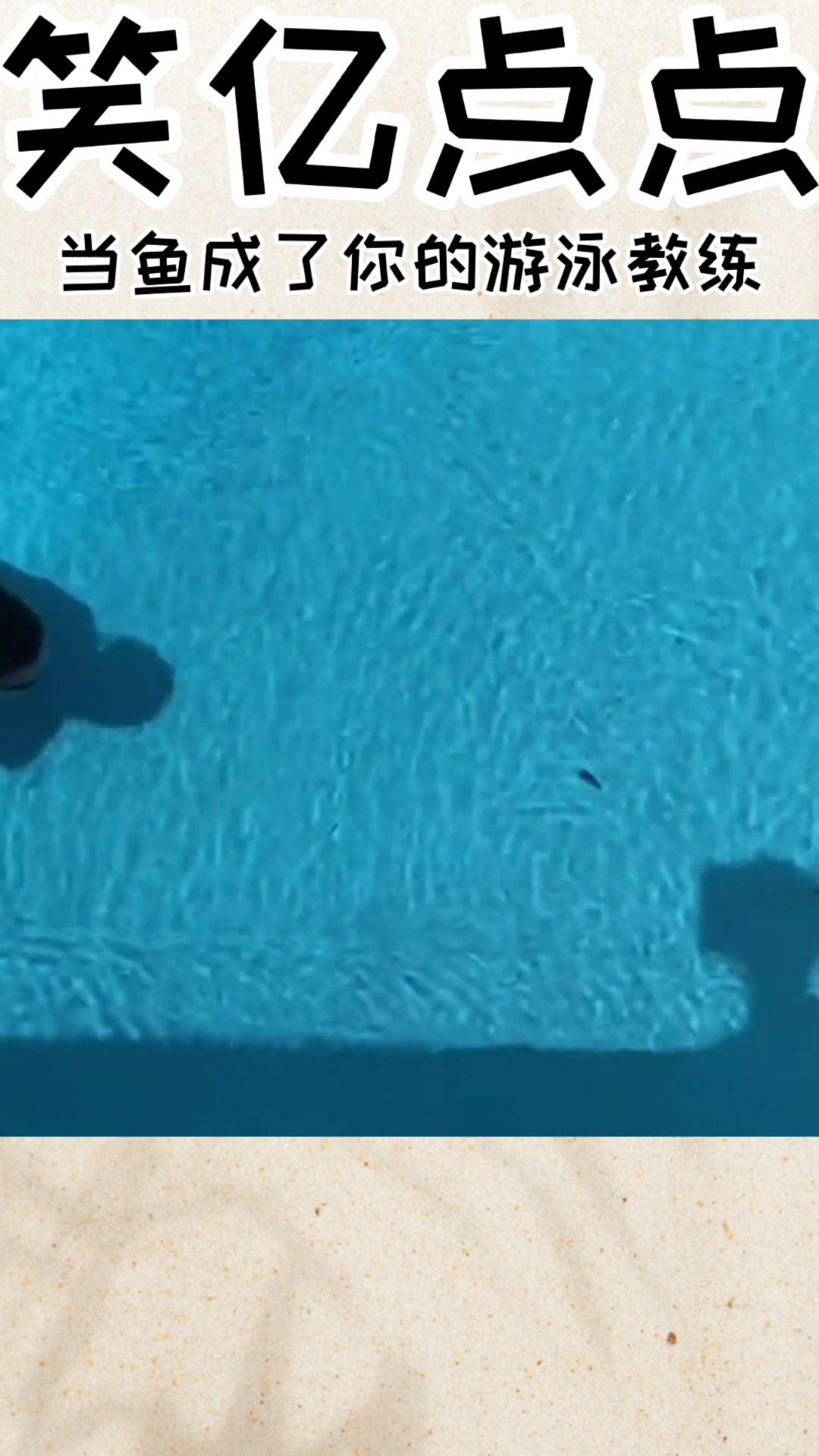 #搞笑视频#当鱼成了你的游泳教练