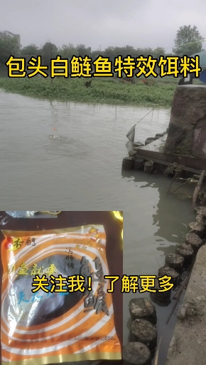 #感谢全民我要上热门#寻找浙江钓鱼人
