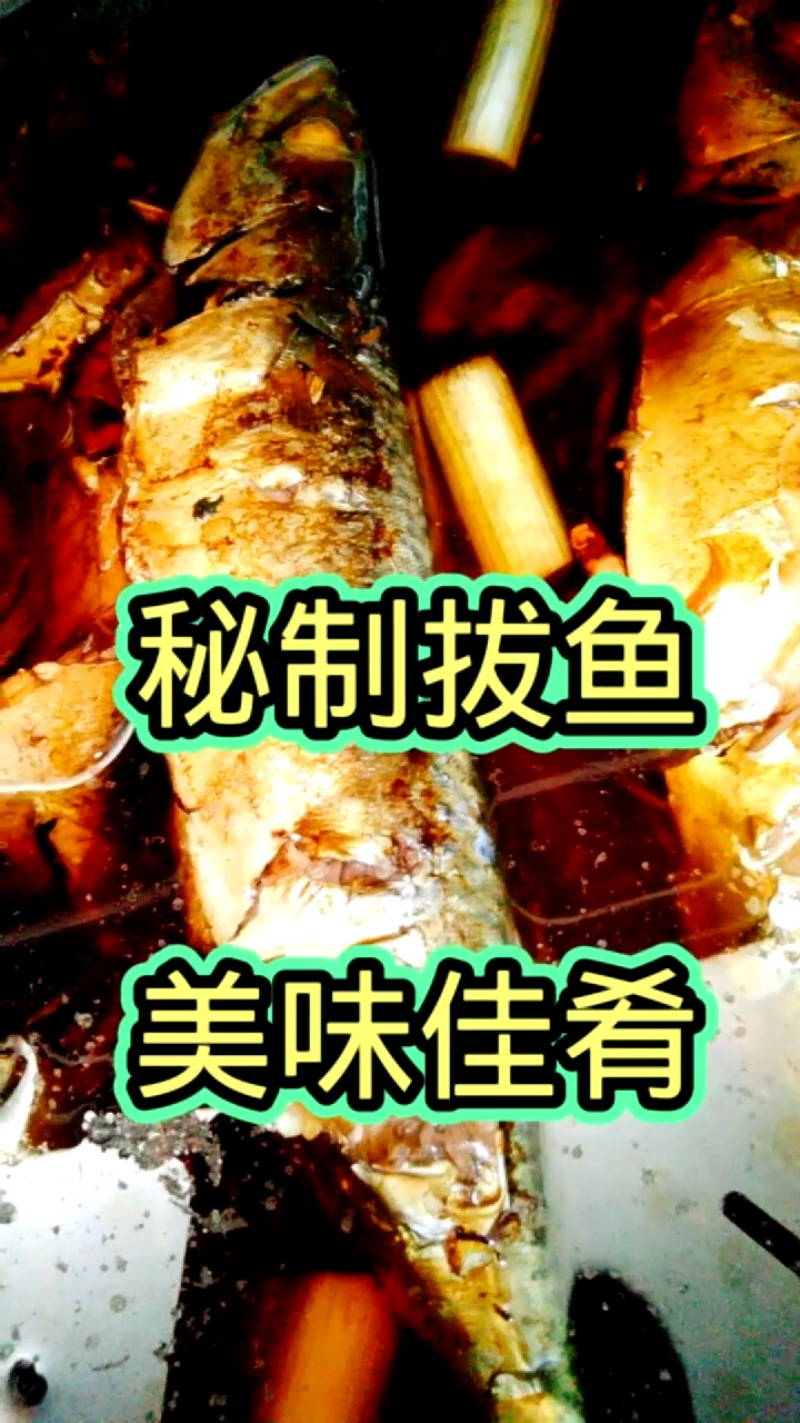 #夏食记#秘制拔鱼,地球人都爱吃