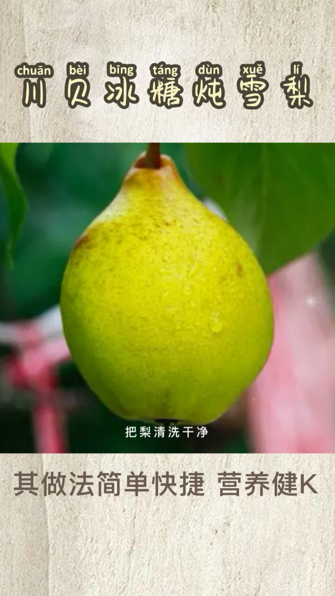 #美食看中国#川贝冰糖炖雪梨