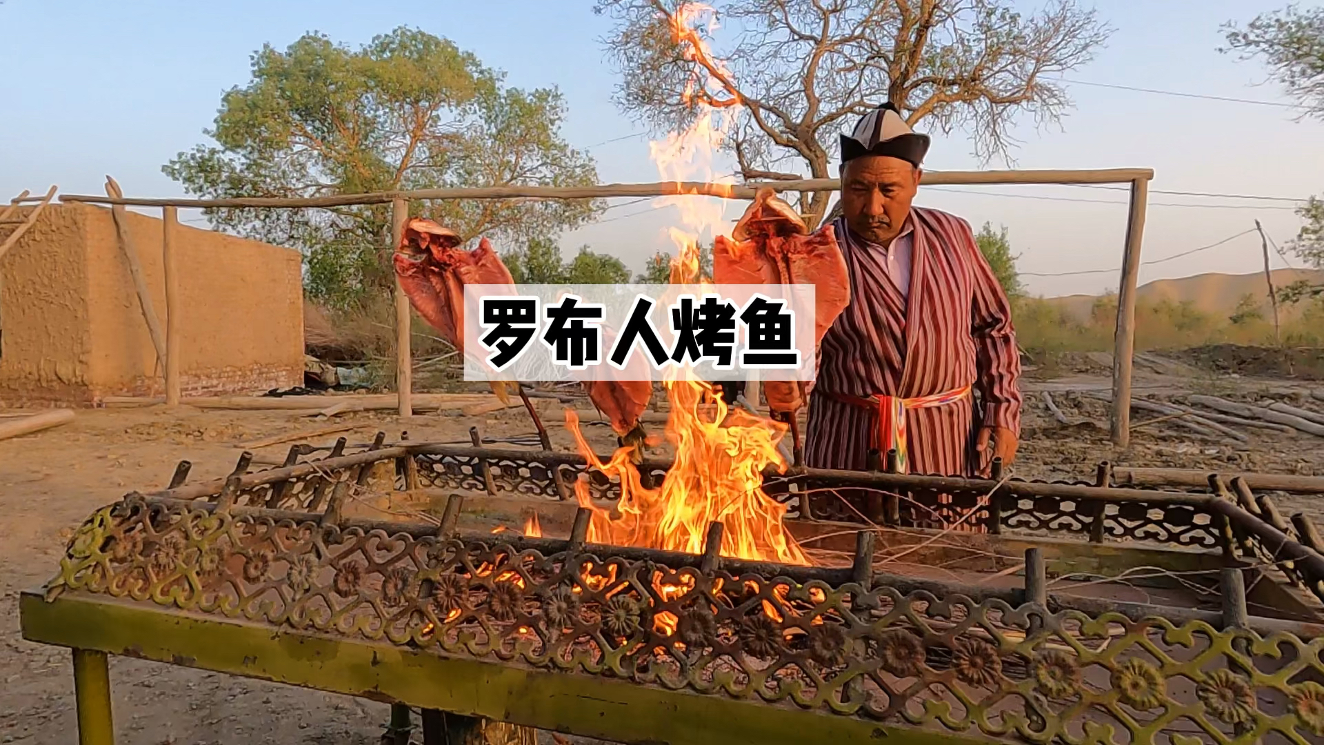 尉犁县罗布人村寨的原始烤鱼,果然名不虚传!