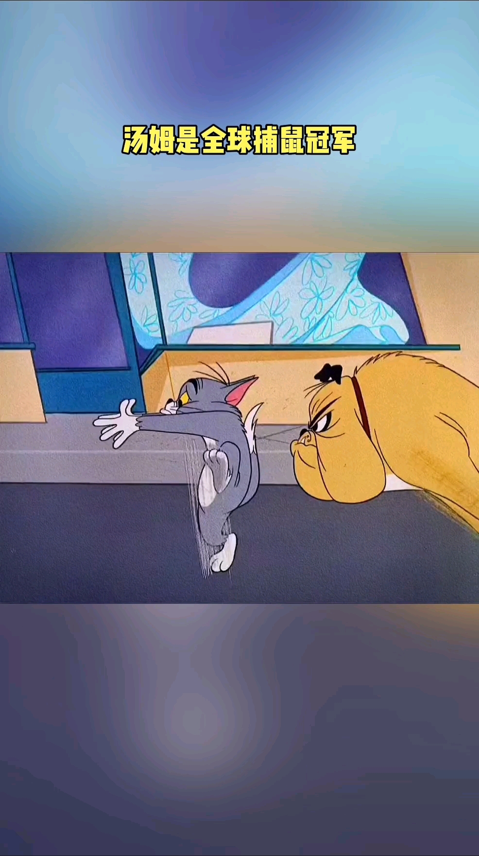 #动漫#汤姆是全球捕鼠冠军