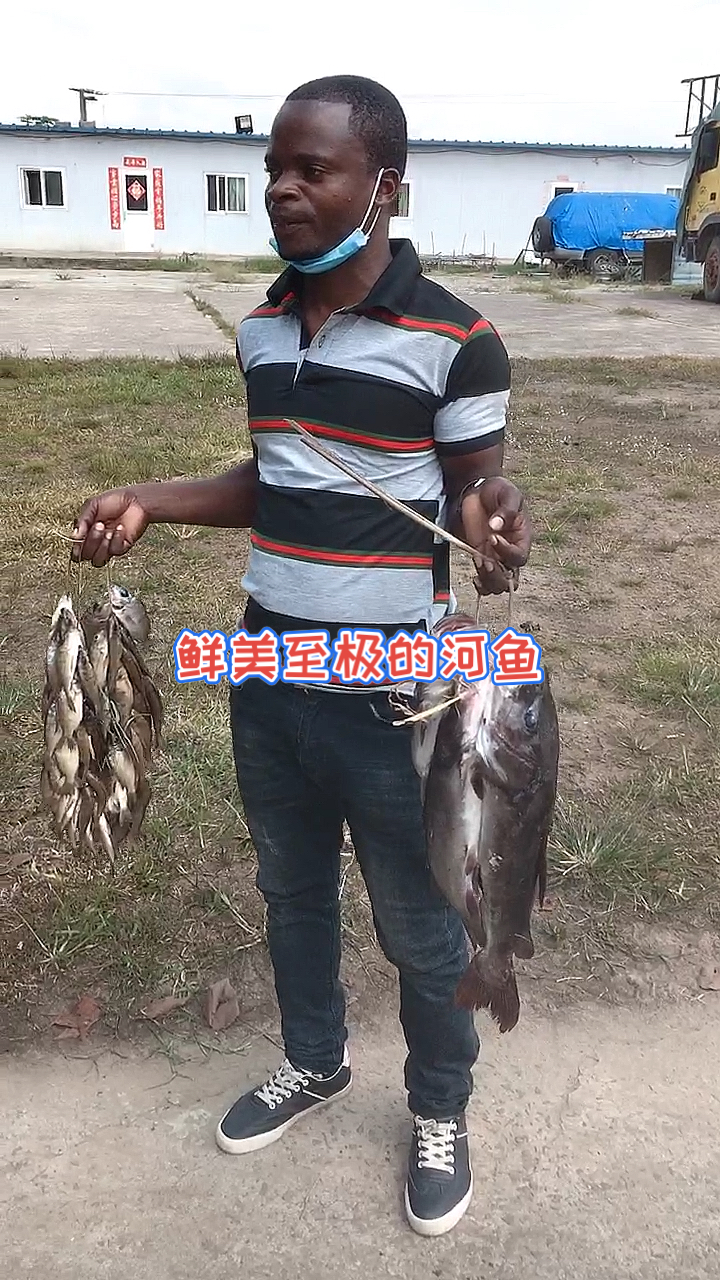 #你好,夏天#纯野生罗非鱼大嘴鱼,晚上有好吃的啦!