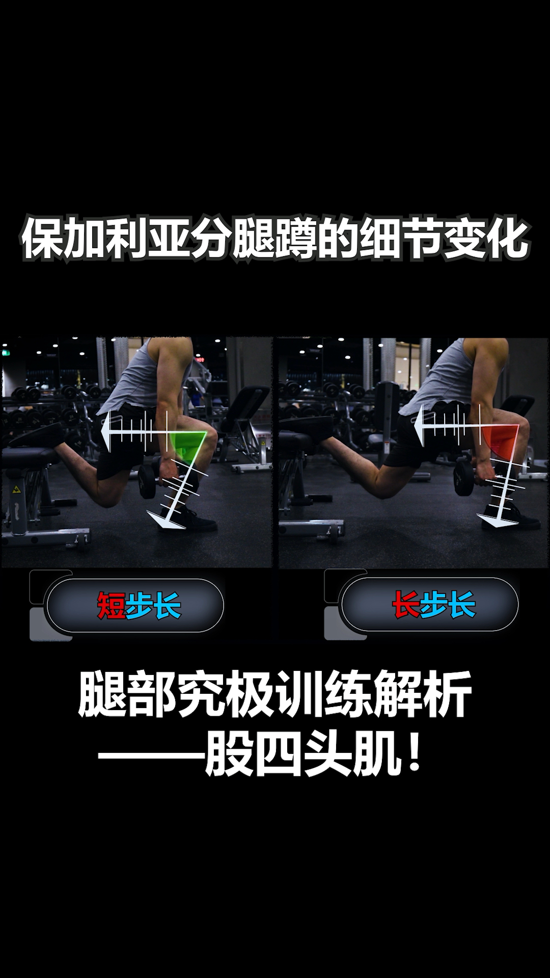 #健身#保加利亚分腿蹲的细节变化