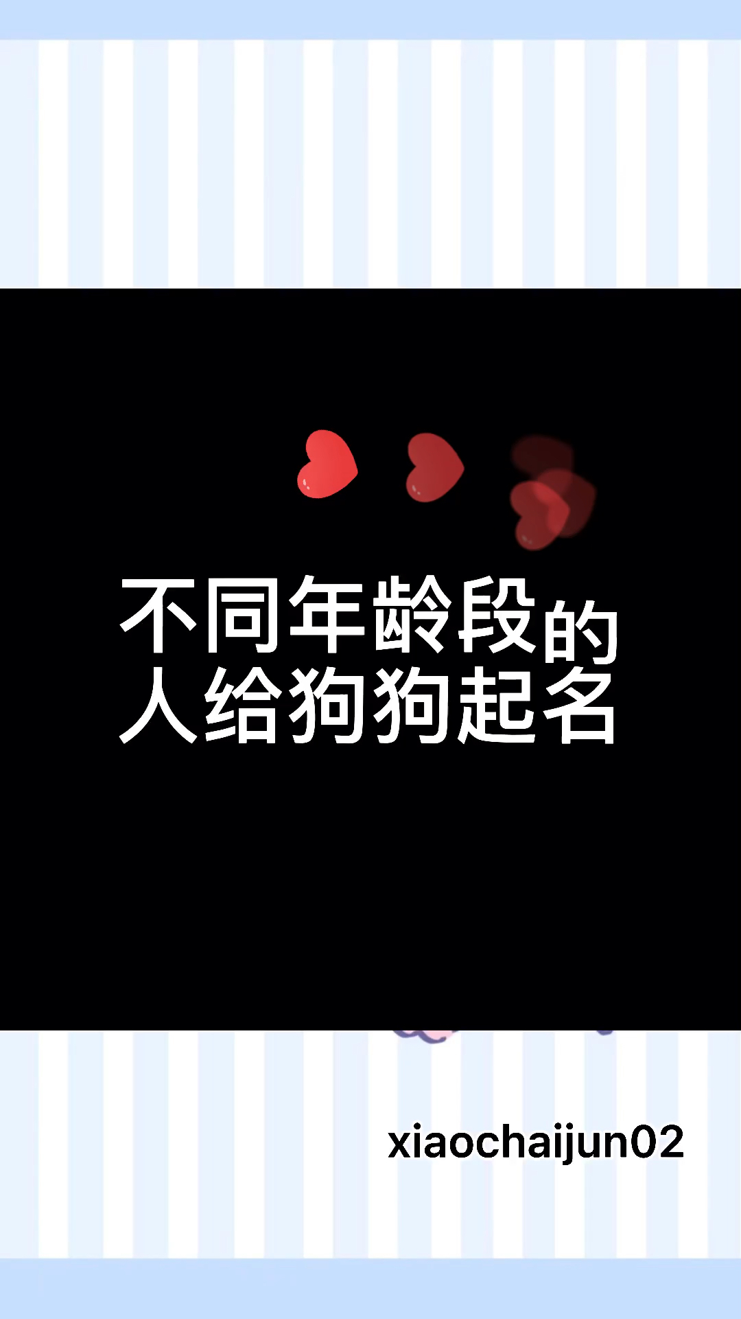 #柴犬#不同年龄段的人给狗狗起名,你家狗狗叫什么名字