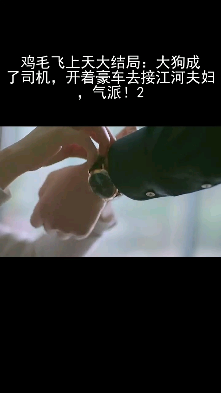 鸡毛飞上天大结局:大狗成了司机,开着豪车去接江河夫妇