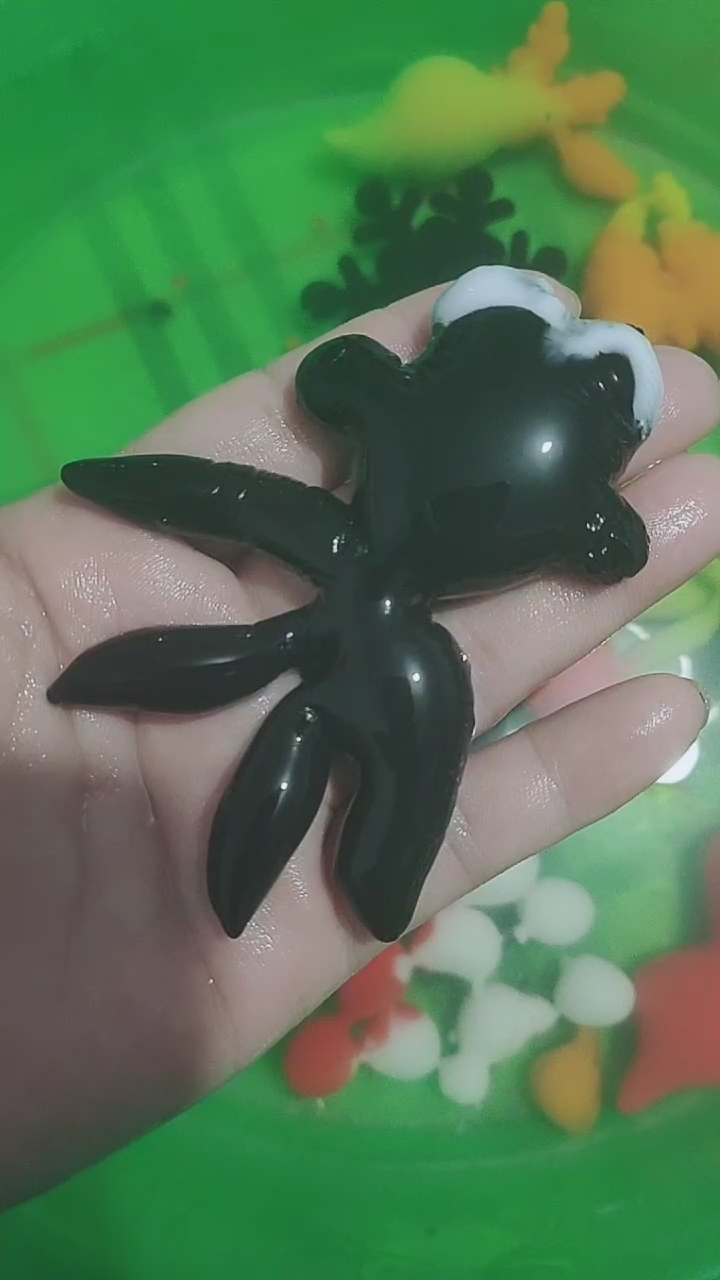 第一次做黑色鱼