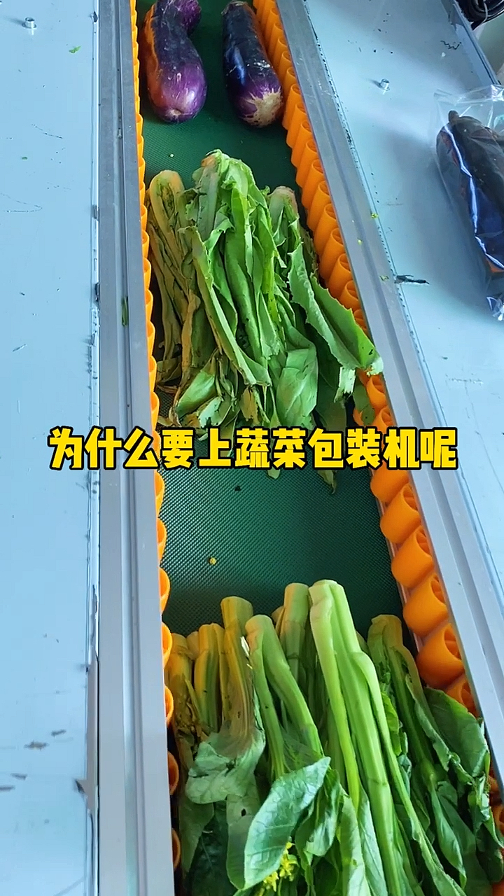 全自动蔬菜包装机,叶菜打包机