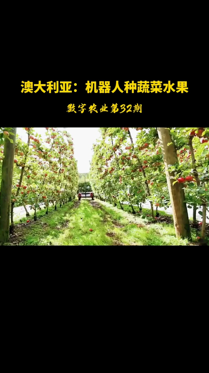 #秋天该有的样子#