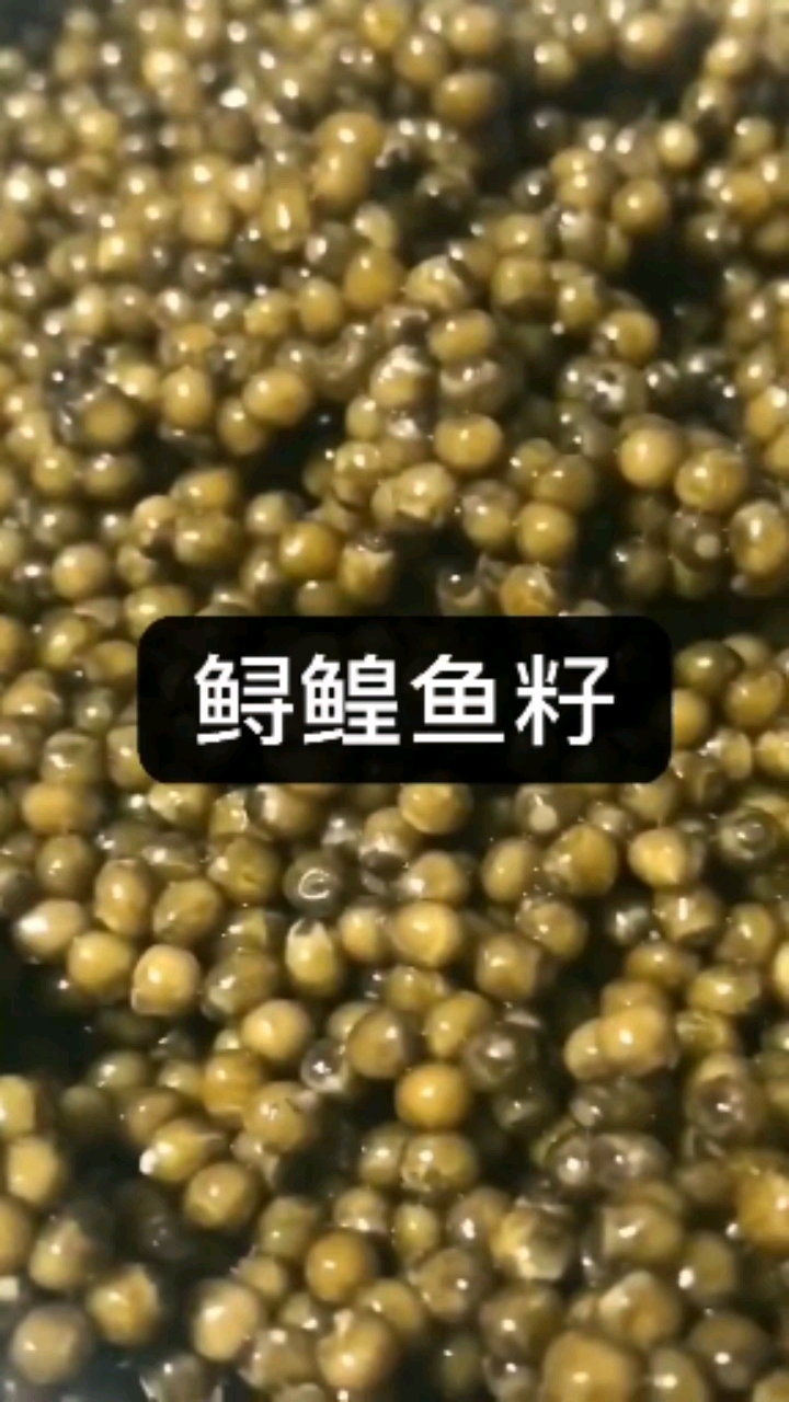 分享视频