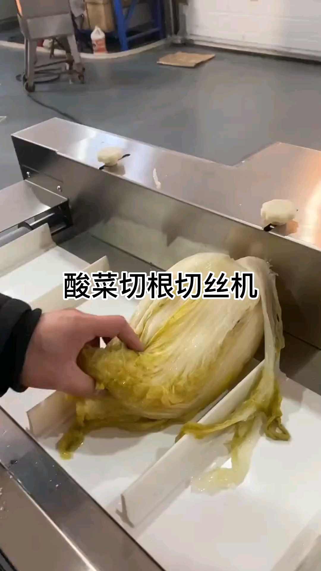 酸菜切丝机,酸菜加工设备#酸菜切根机#酸菜划根机#酸菜切丝机