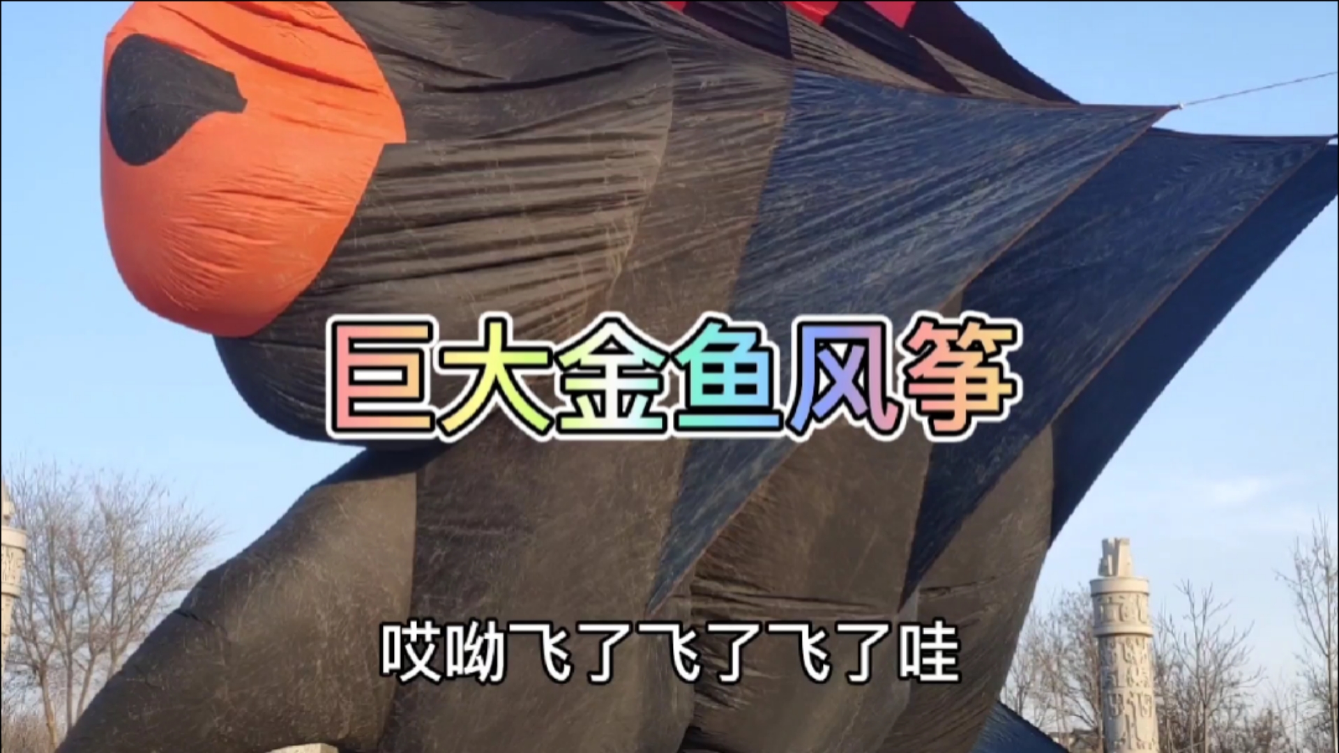 #打卡我的春节定位#宝爸和娃终于看到了它的全貌,巨大的金鱼风筝,四五个大汉能放飞