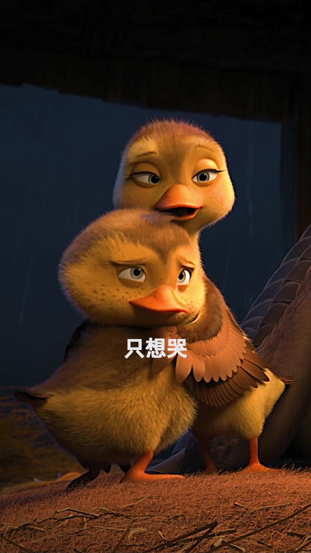 #我搞笑你开心#不想吃饭,不想喝汤,只想哭!