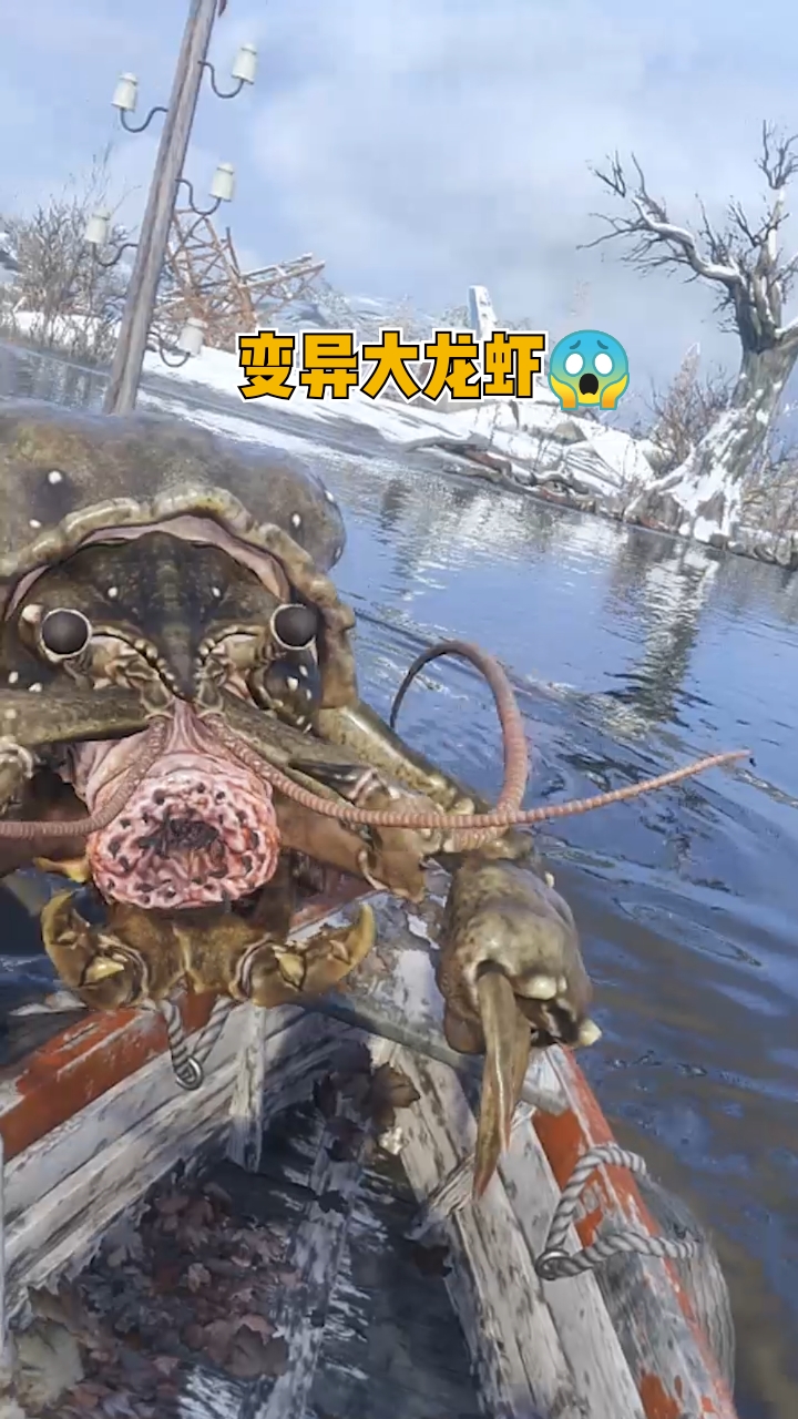 这龙虾变异了,这么大