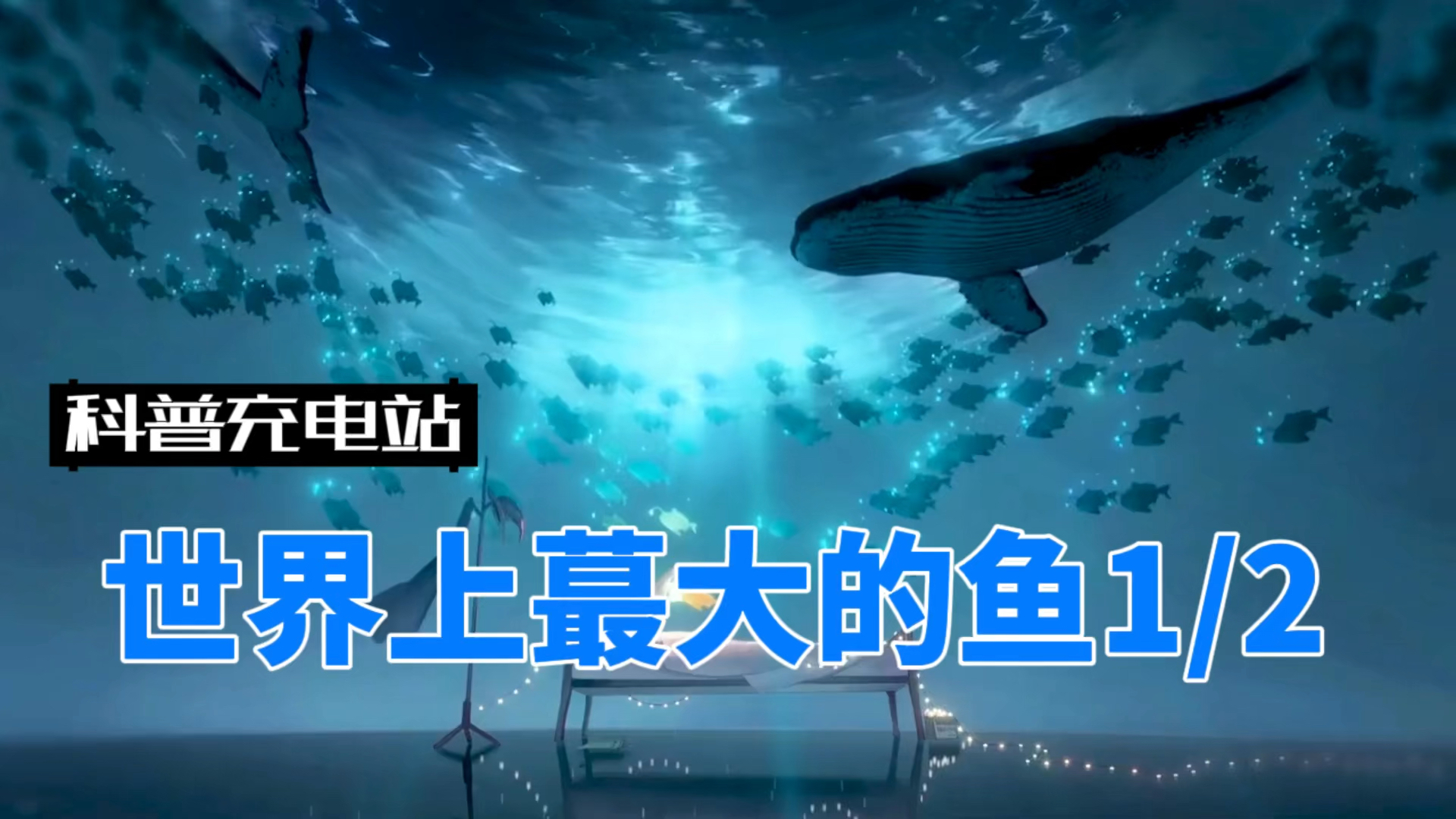 你知道世界上最大的鱼是什么吗?1/2