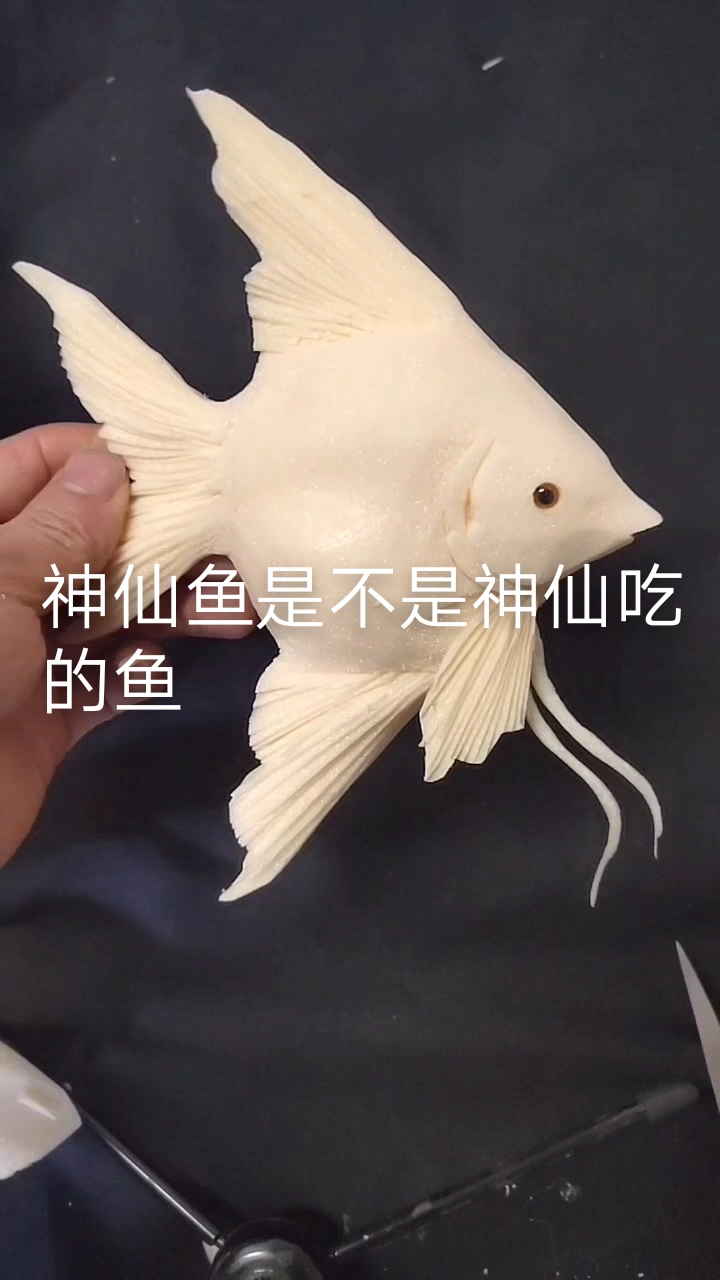 神仙鱼是不是神仙吃的鱼