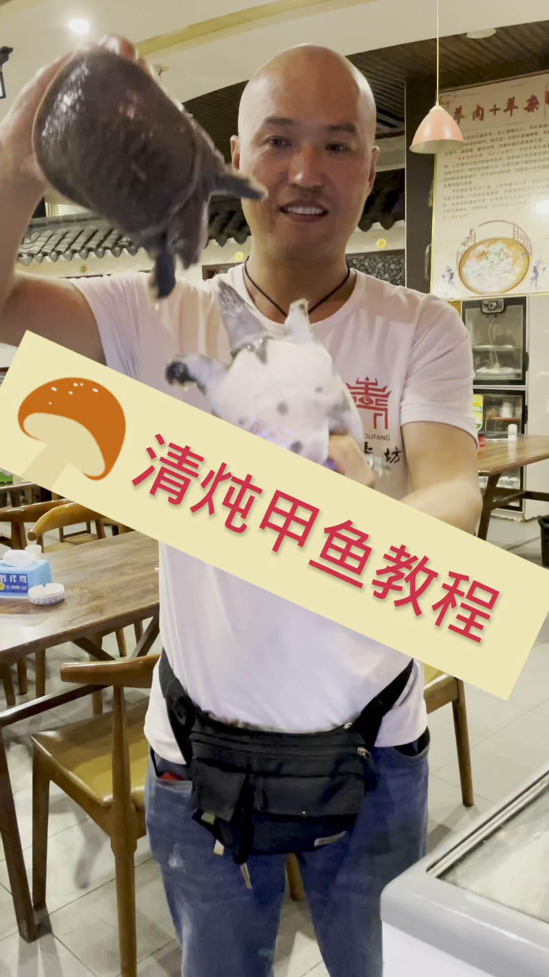 #美食#清炖甲鱼