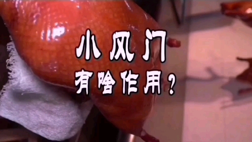 #美食#烧鸭炉两小风口用法?#美食课堂