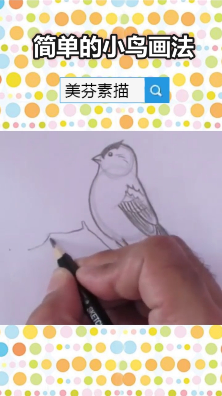 #画画原来如此简单#适合零基础新手学习的简单素描铅笔画,教你画一只栩栩如生的小鸟素描!