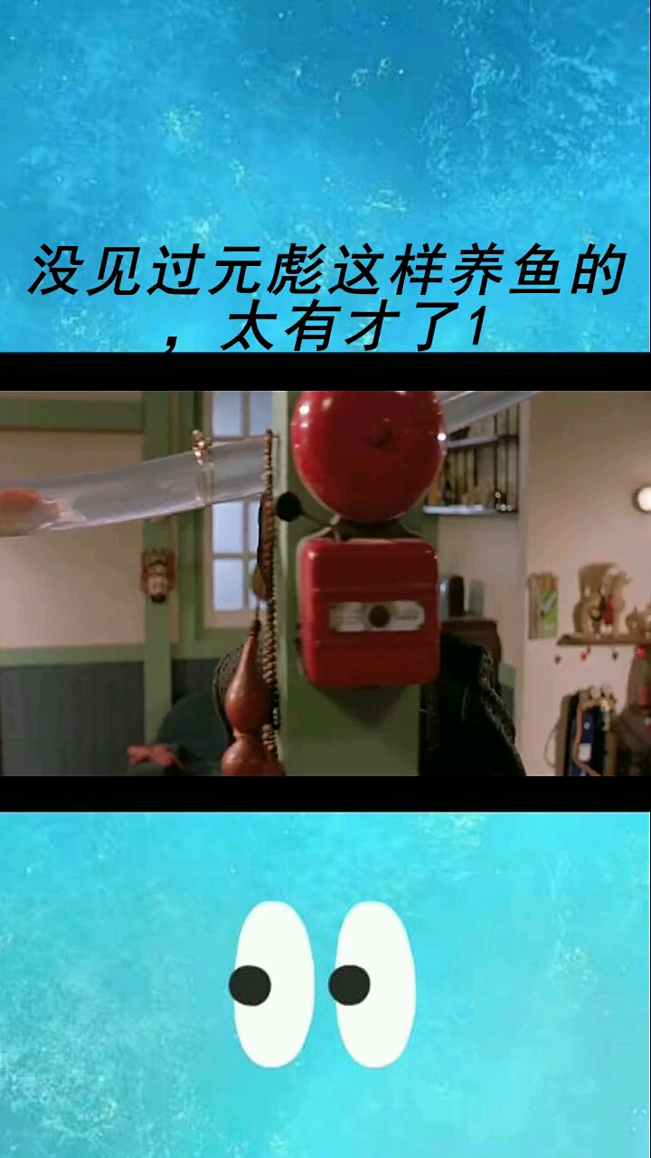 没见过元彪这样养鱼的太有才了1