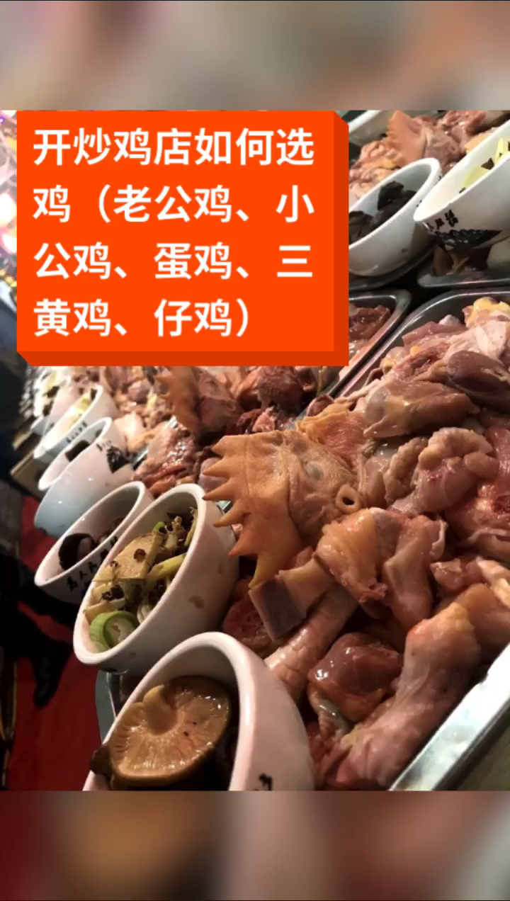 #炒鸡#开炒鸡店如何选鸡(老公鸡、小公鸡、蛋鸡、三黄鸡、仔鸡)