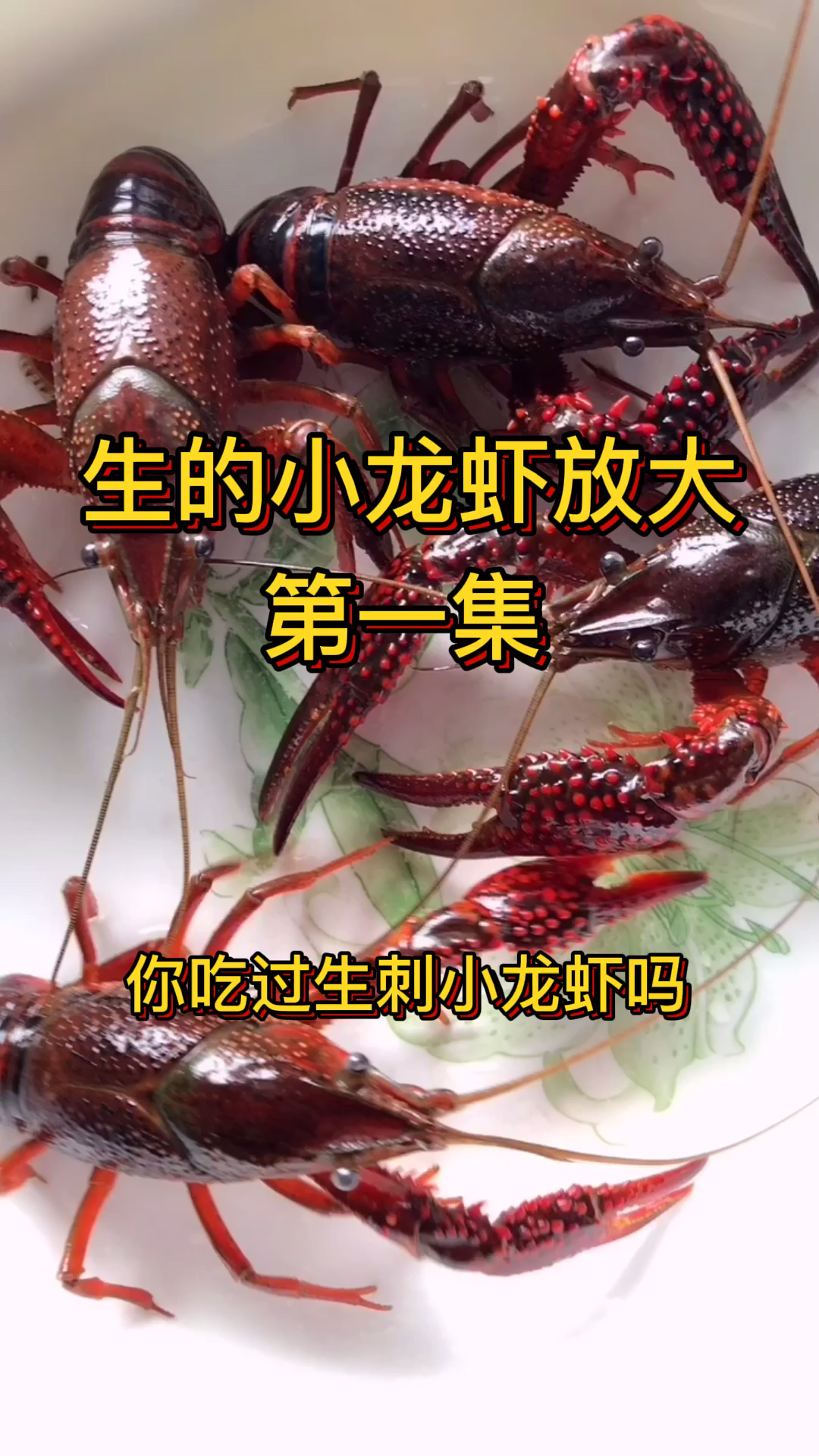 #小龙虾#生的小龙虾放大
