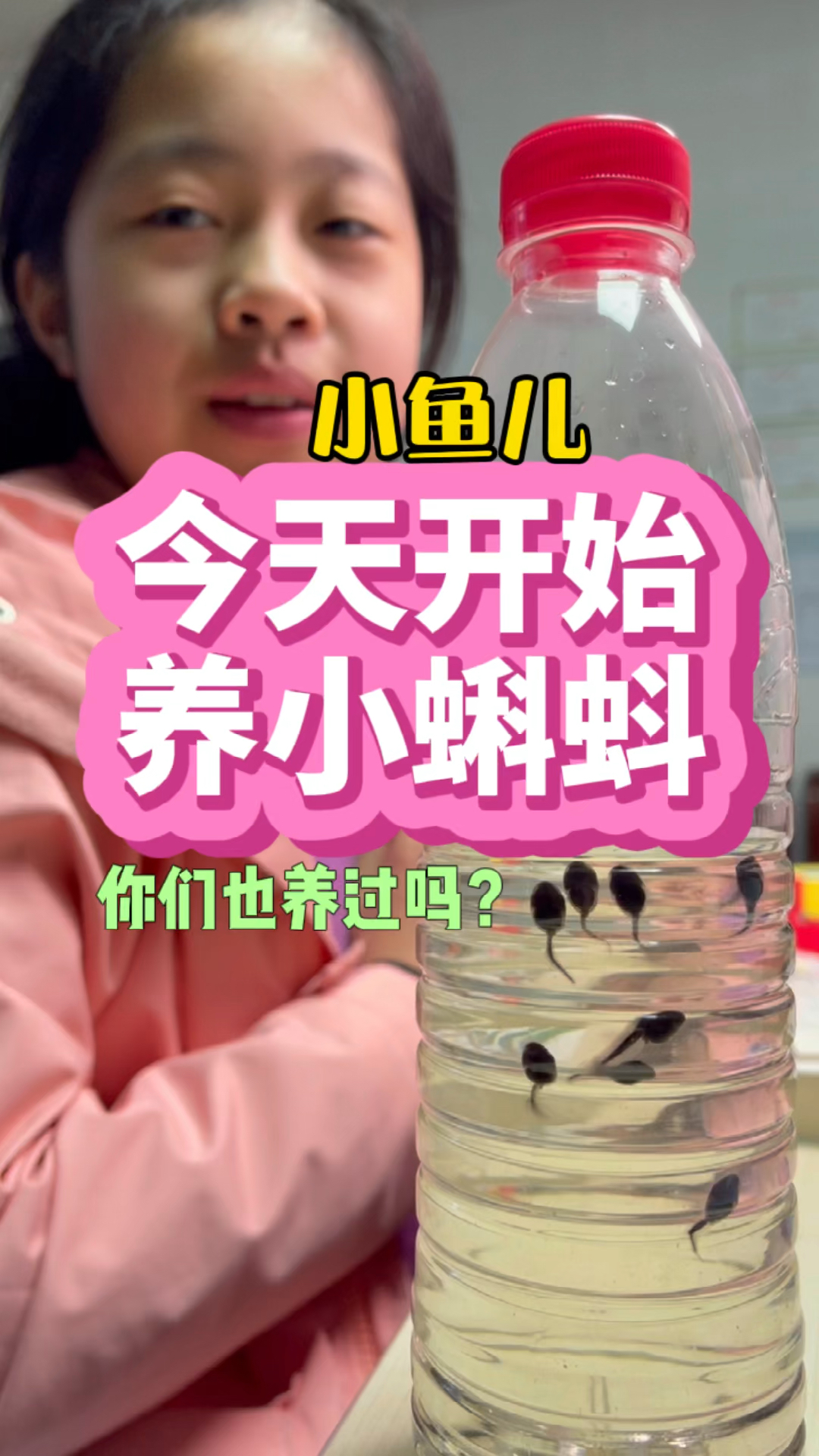 #小学生#春天到了，爸爸今天给小鱼儿抓了好多小蝌蚪，你们觉得它们长大会是青蛙还是癞蛤蟆呢？