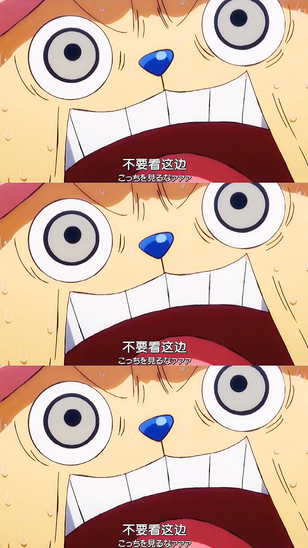 #动漫#四皇大妈心心念念的红豆汤,然后望着乔巴直流口水